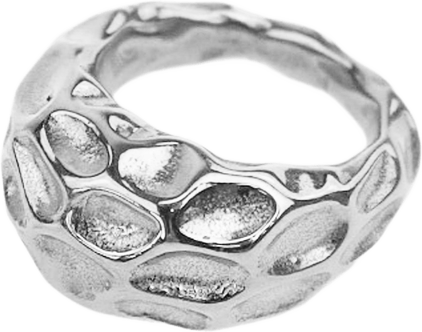 Hanna Ring, från WOS, i färgen Silver.