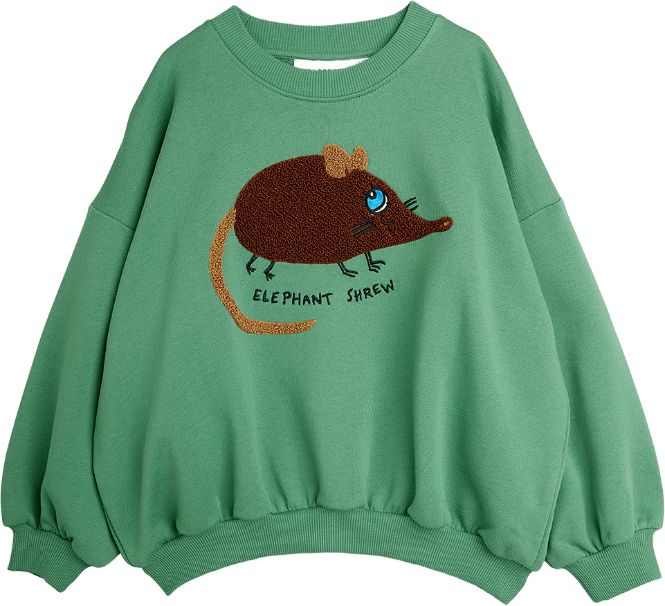 Elephant shrew chenille sweatshirt, från Mini Rodini, i färgen Green.