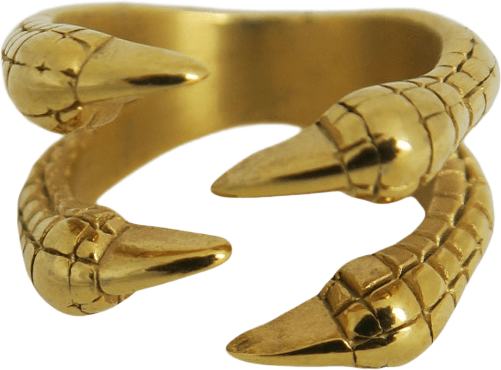 Nasta Ring Gold, från WOS, i färgen Gold.