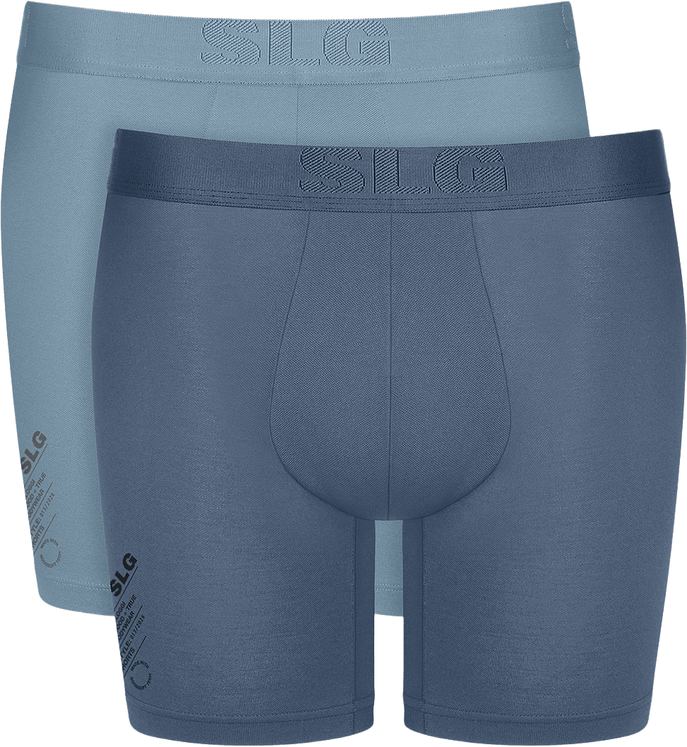 SLG Base Soft Short C2P, från Sloggi, i färgen Blue - Light Combination.