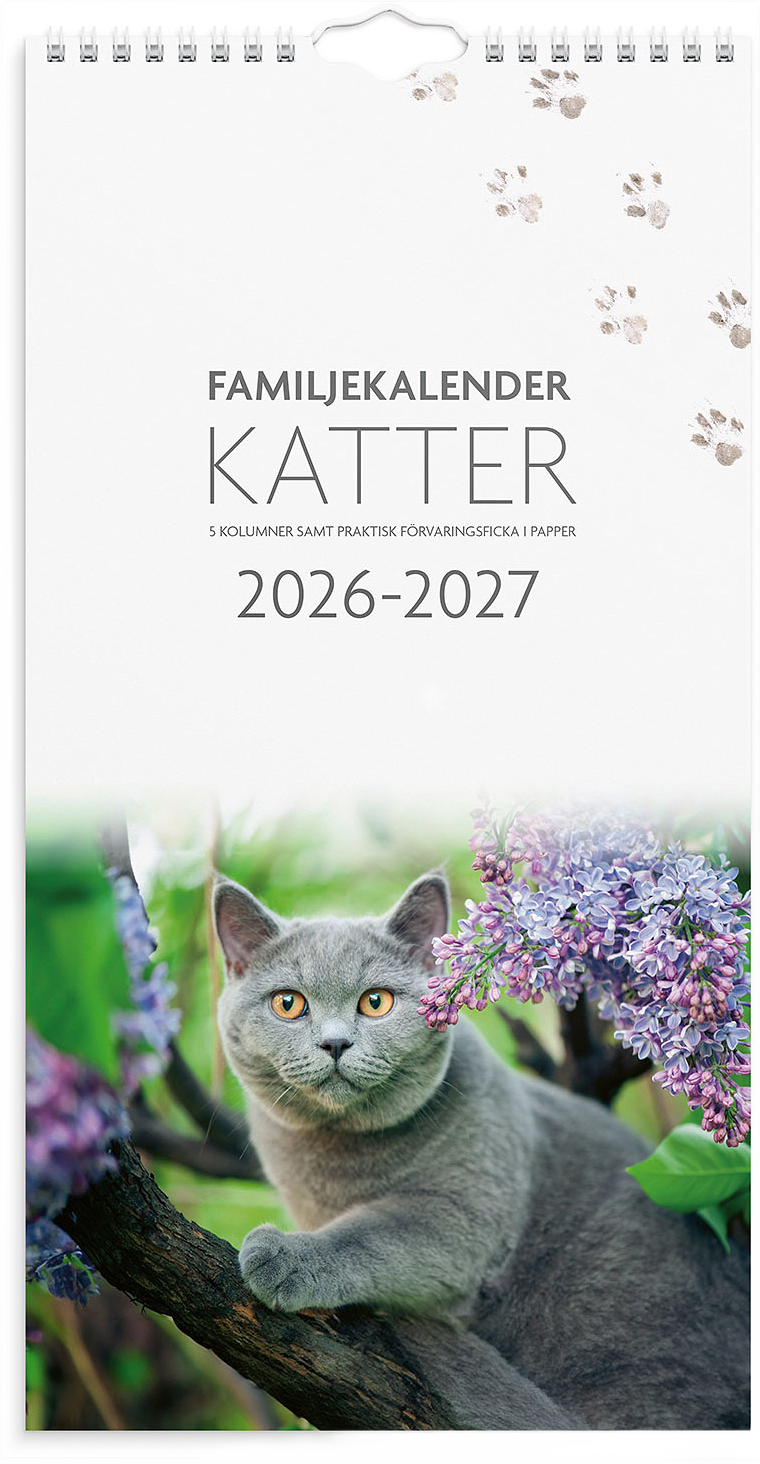 Familjekalender 26/27 Katter, från Burde, i färgen Flerfärgad.