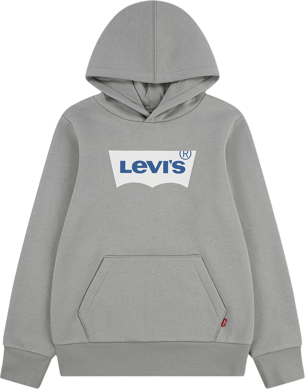 Lvb-Batwing Screenprint Hoodie, från Levi's, i färgen Ghost Gray.