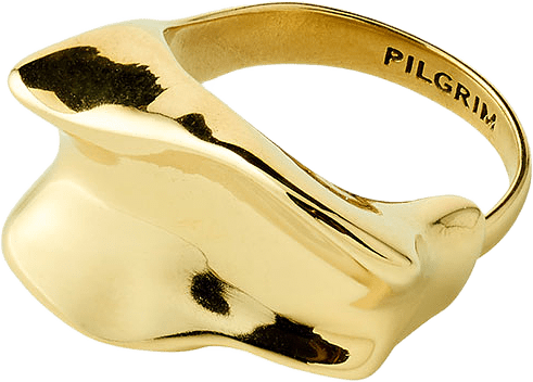 ELYS ring gold-plated, från Pilgrim, i färgen Gold Plated.
