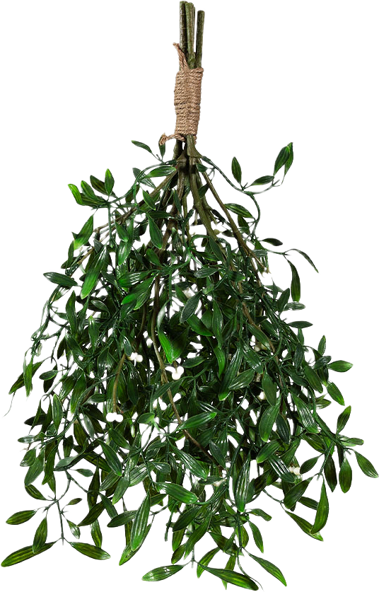 Mistel, från VÄXTMILJÖ, i färgen Green.