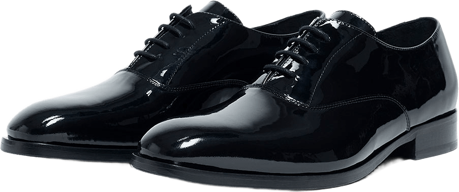 Casu Shoe, från Tiger of Sweden, i färgen Black.