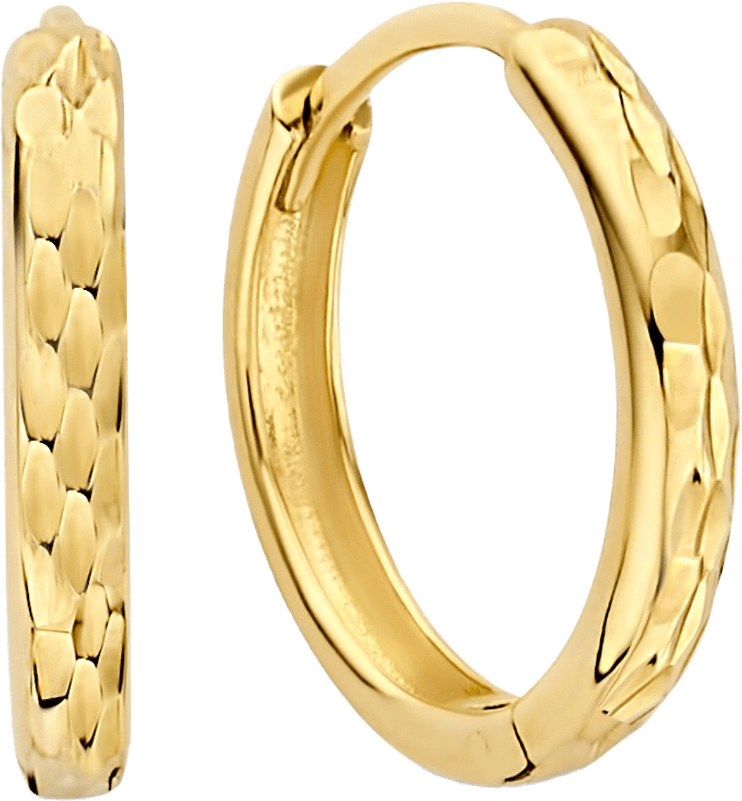 Rivoli 14 Karat Guld Creoler