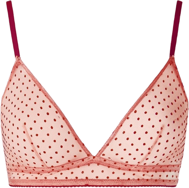 Mesh Triangle Bralette