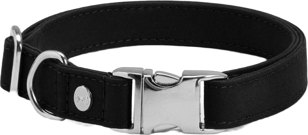 Hundhalsband Signature Go