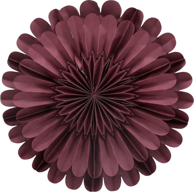 Järvsön Adventsstjärna, från Venture Home, i färgen dark red,white.