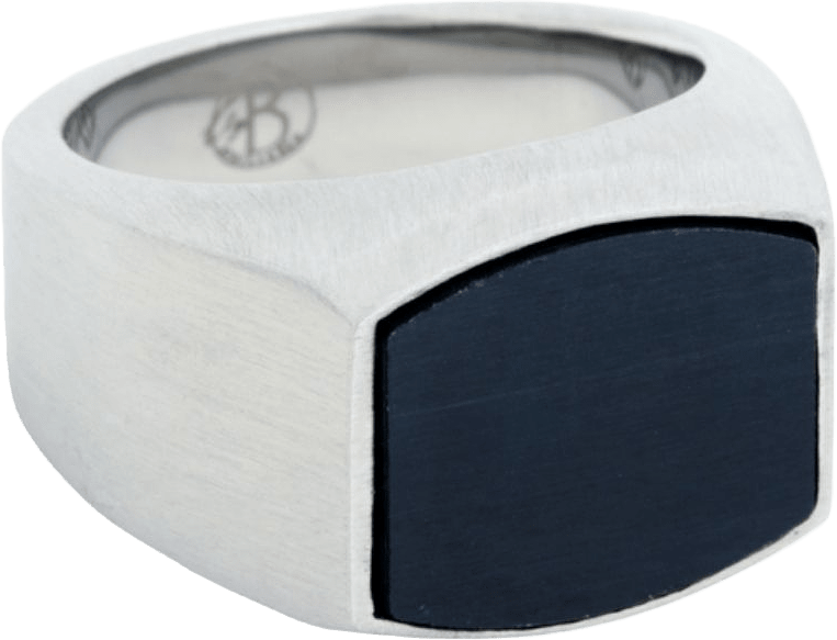 Clinton Signet Ring Black, från by BILLGREN, i färgen stål.