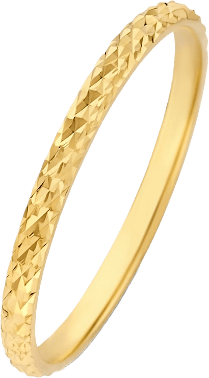 Rivoli 14 Karat Guld Ring