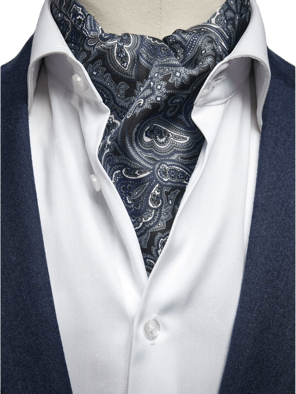 Silk Double Pointed Ascot Paisley