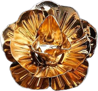 Lapel Pin Vigo, från John Henric, i färgen gold.