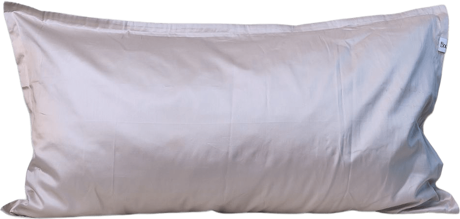 Regency Lee - Örngott 50x90, från Home of ESS, i färgen champagne.