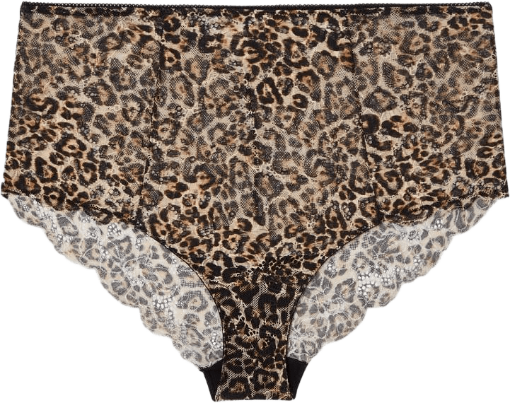 Lace Highwaist Briefs