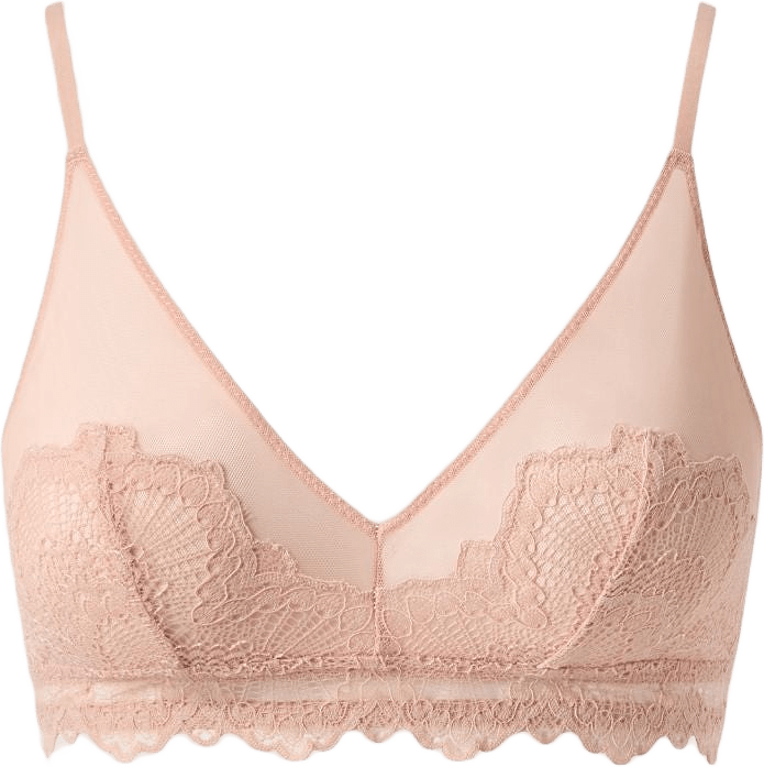 Lace Mesh Triangle Bralette