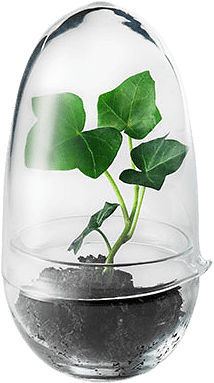 Växthus Grow, Small, från Design House Stockholm, i färgen Clear.