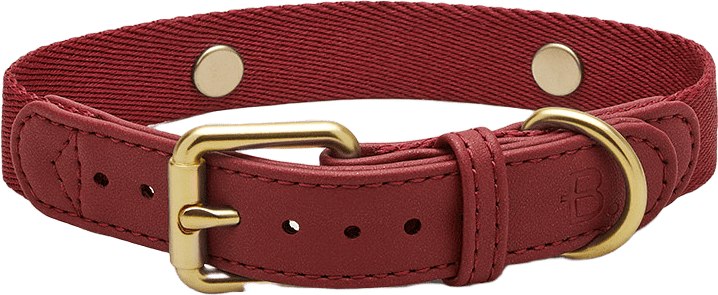 Veganskt Läder Hundhalsband, från Barkalot, i färgen burgundy.