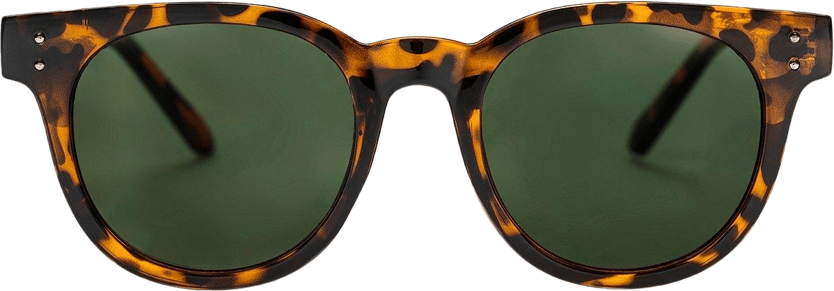 Torö X, från CHPO, i färgen turtle brown/green.