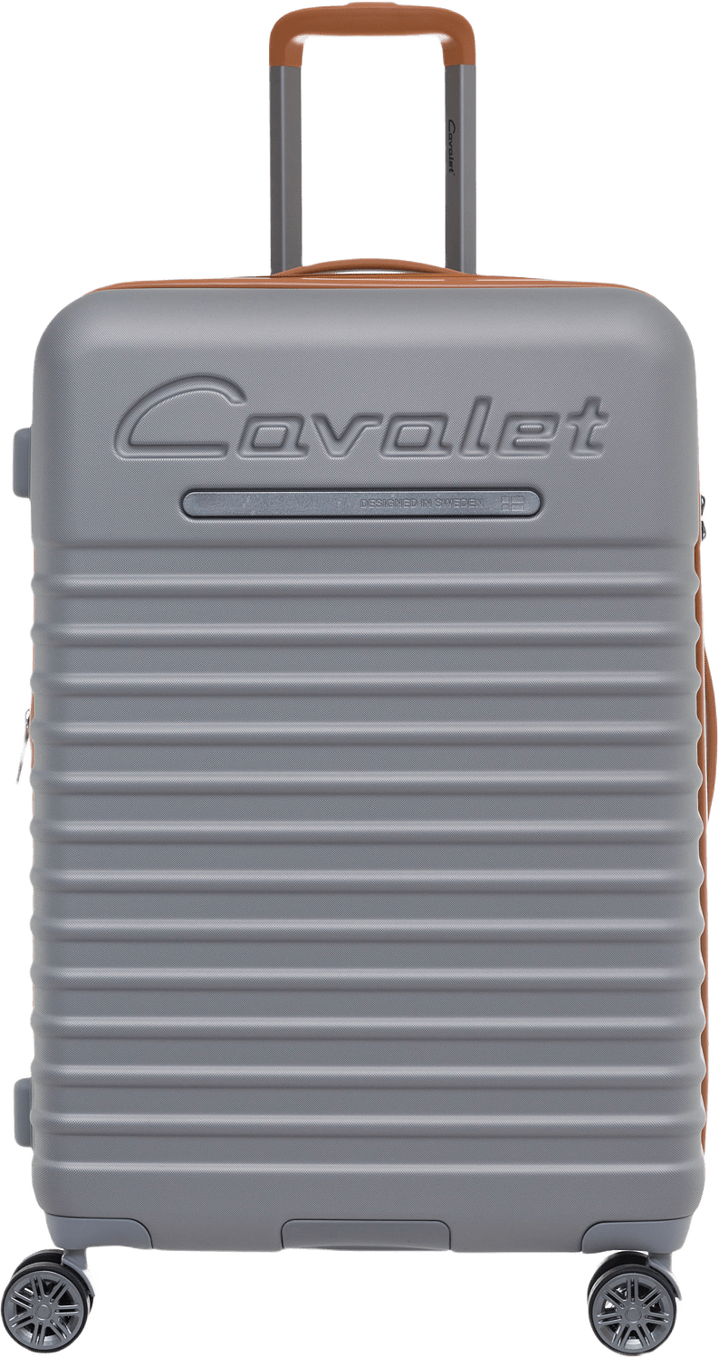 Pasadena Large, från Cavalet, i färgen silver/tan.