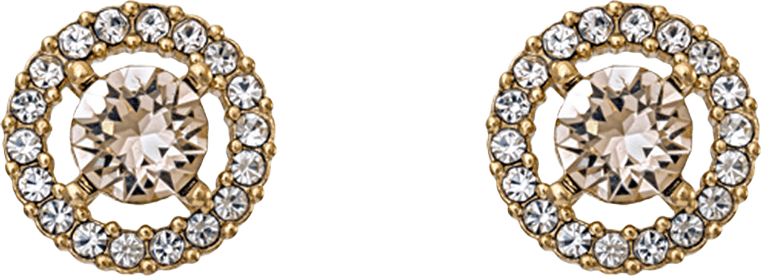 Miss Miranda earring, från Lily and Rose, i färgen Light Beige.