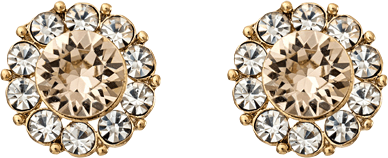 Miss Sofia earring, från Lily and Rose, i färgen Light Beige.