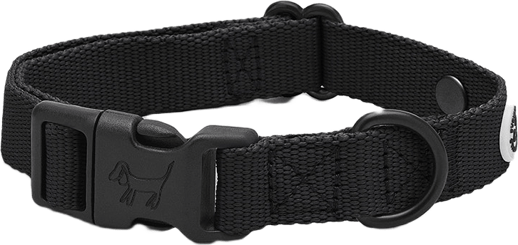 Becksvart Hundhalsband, från Barkalot, i färgen pitch black.