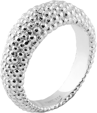 Stardust Ring, från Drakenberg Sjölin, i färgen Silver.