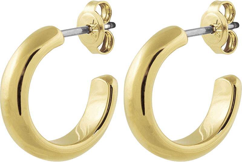 Örhängen Ellen, från Dyrberg & Kern, i färgen Gold.