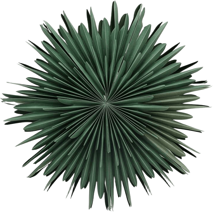 Sälen Adventsstjärna, från Venture Home, i färgen green,white.