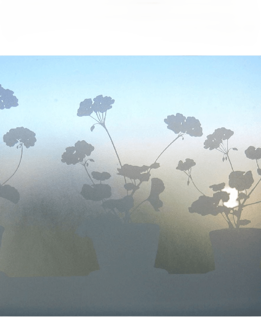 Fönstermönster Pelargon Liten, från Siluett Frost, i färgen vit.