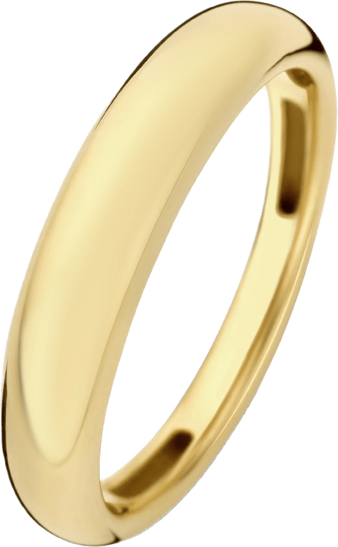 Rivoli 14 Karat Guld Ring