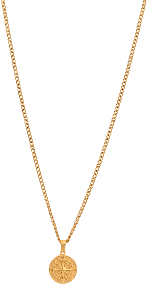 Harvey | Stålhalsband | Kompass, från by BILLGREN, i färgen guldfärgat stål.