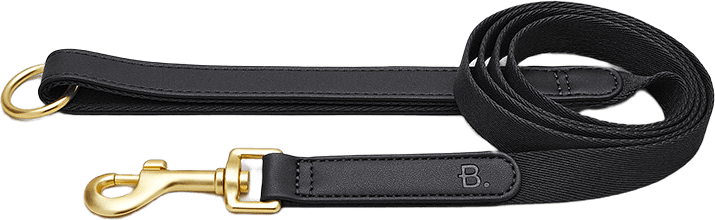 Svart Veganskt Läder Hundkoppel, från Barkalot, i färgen black.