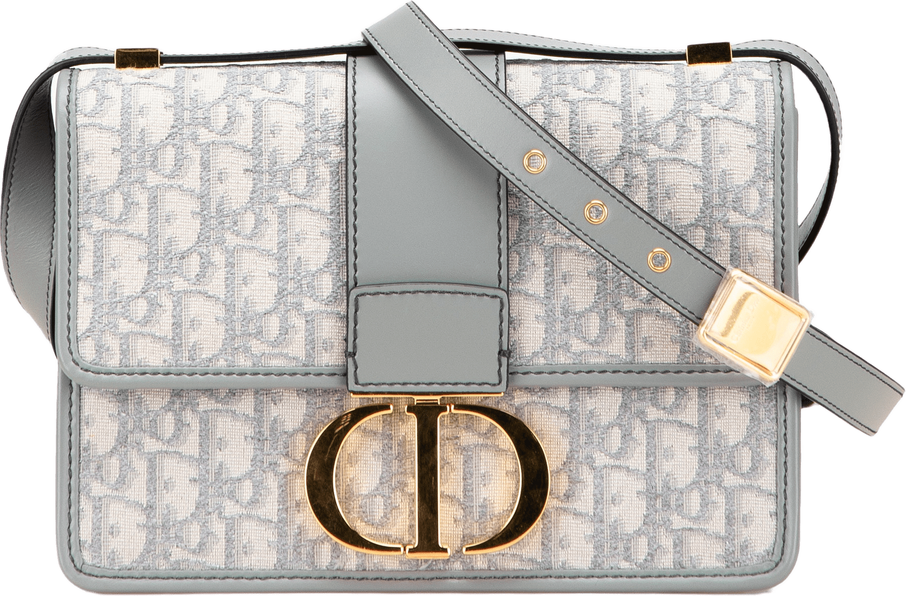 Dior Medium Oblique Canvas 30 Montaigne Bag, från Luxclusif, i färgen gray.