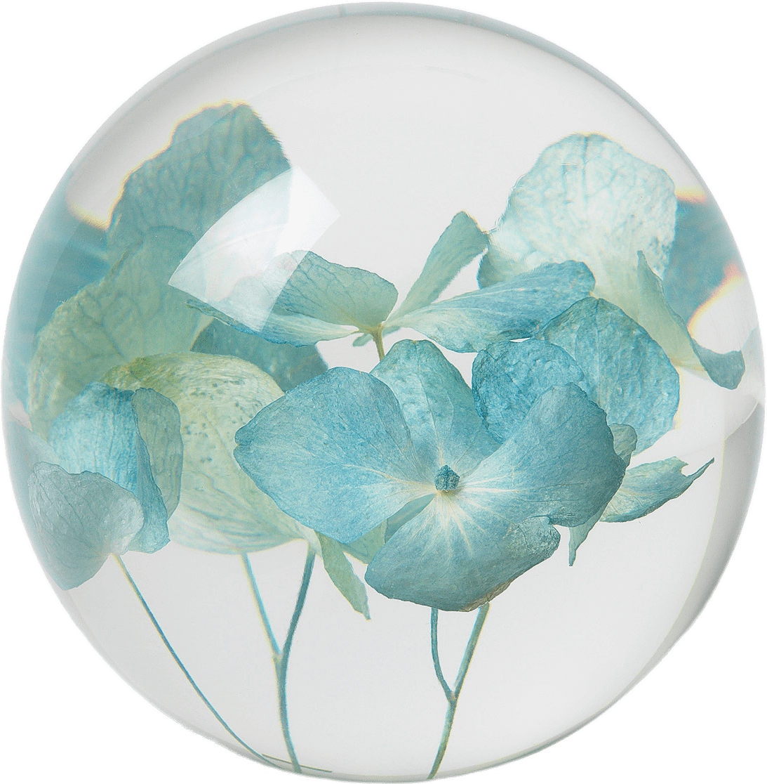 Hortensia Pappersvikt, Brevtyngd, från In Flore, i färgen Blå.