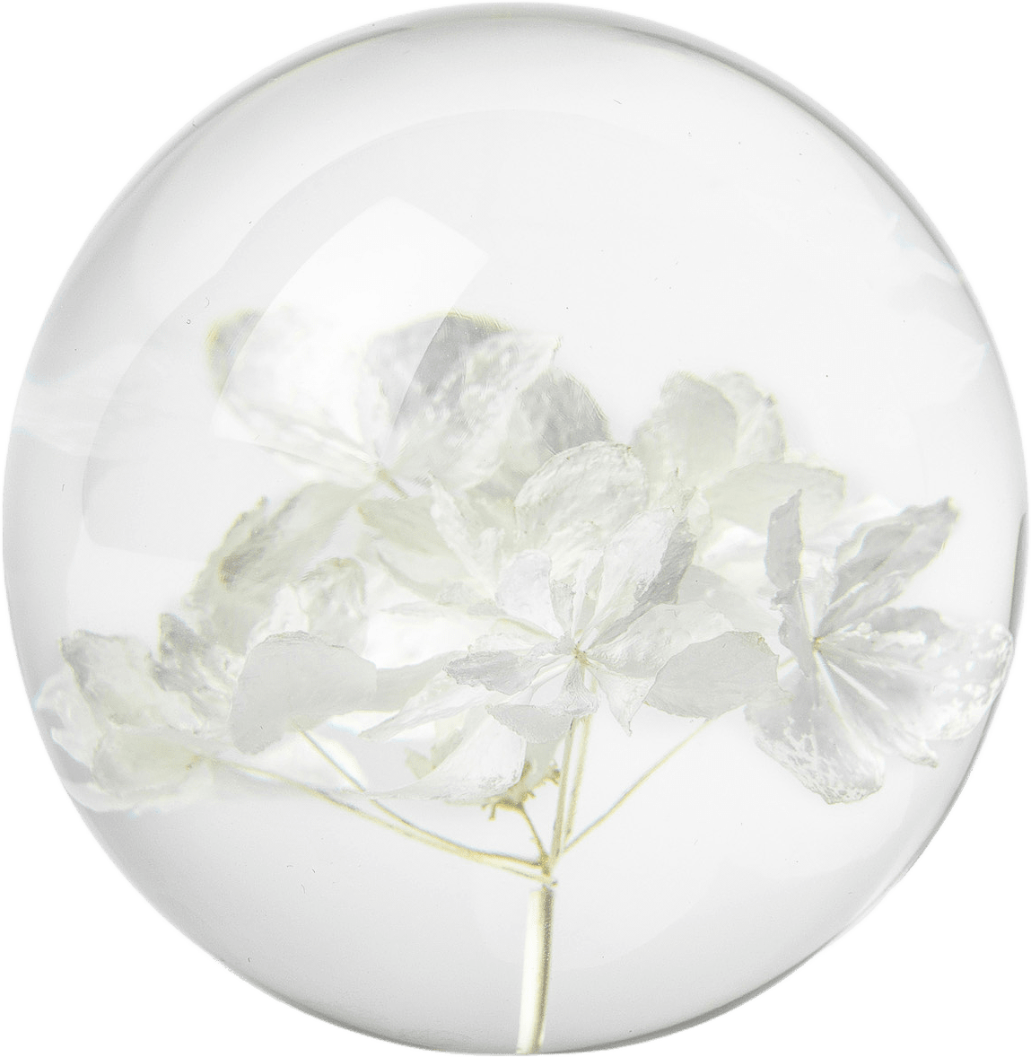 Hortensia Pappersvikt, Brevtyngd, från In Flore, i färgen vit.