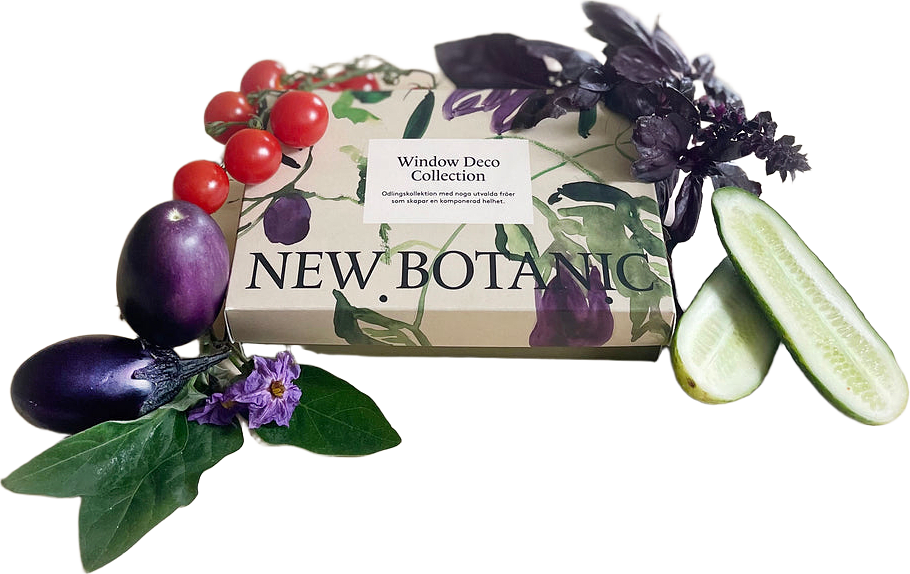 Window Deco Collection, från New Botanic, i färgen multi.