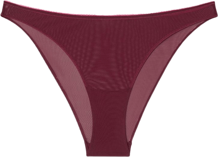 Mesh Bikini Briefs
