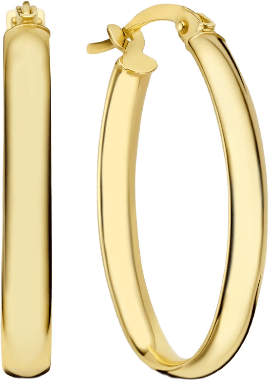 Rivoli 14 Karat Guld Creoler