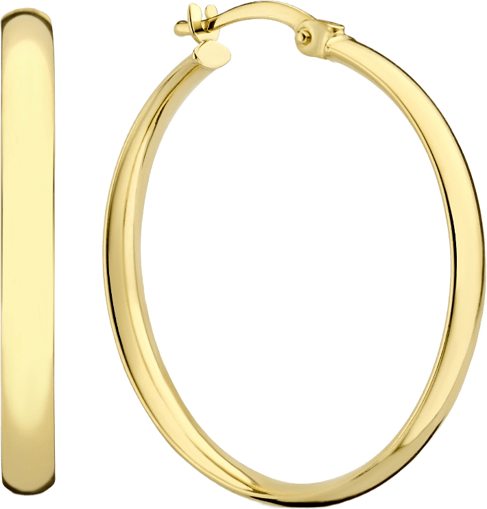 Rivoli 14 Karat Guld Creoler