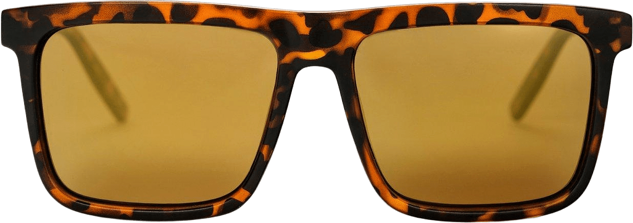 Bruce, från CHPO, i färgen matte turtle brown/brown.