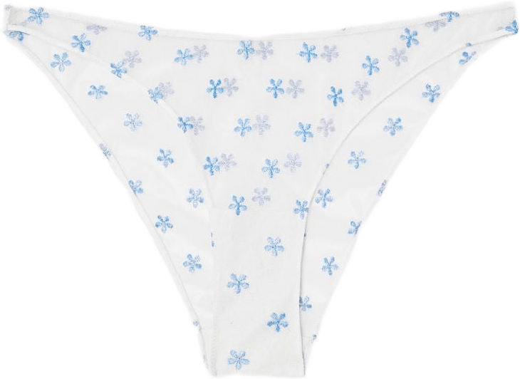 Mesh Bikini Briefs
