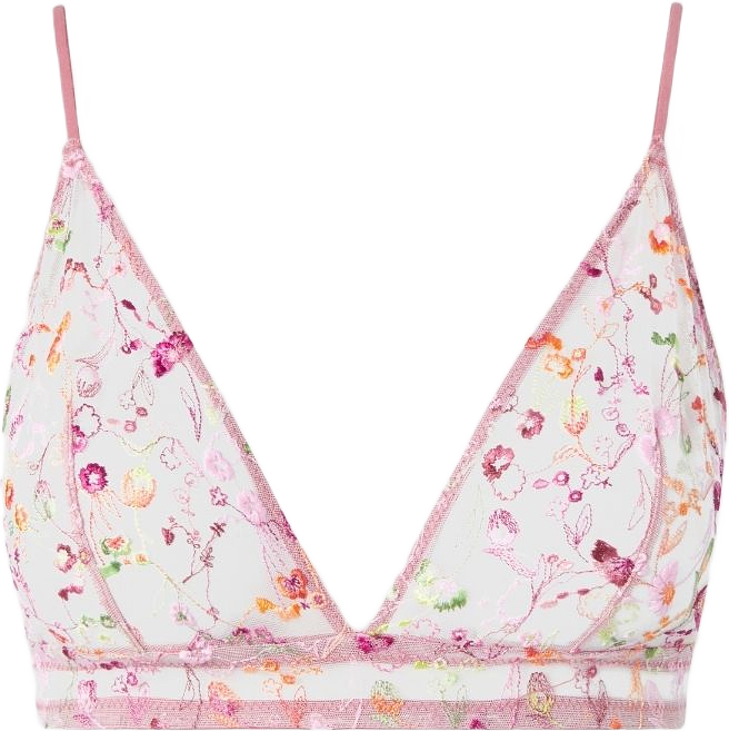 Mesh Triangle Bralette