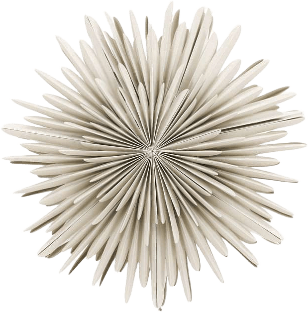 Sälen Adventsstjärna, från Venture Home, i färgen beige,white.