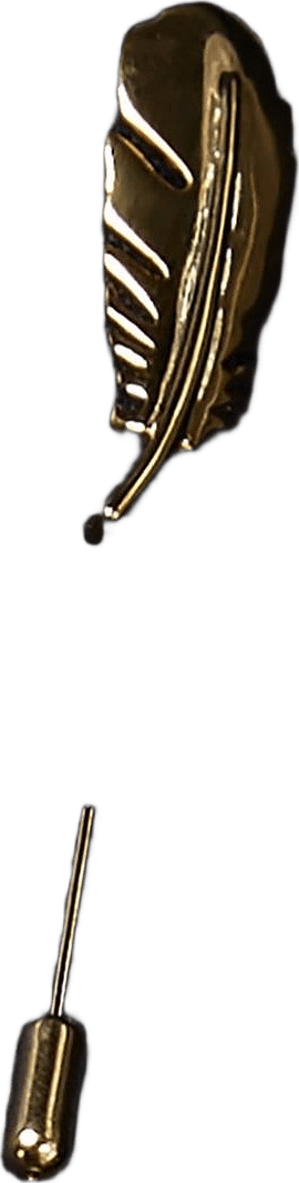 Lapel Pin Feather