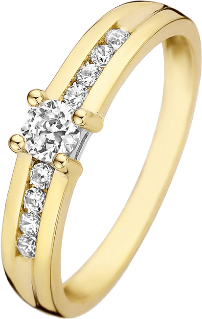 Le Marais 14 Karat Guld Ring