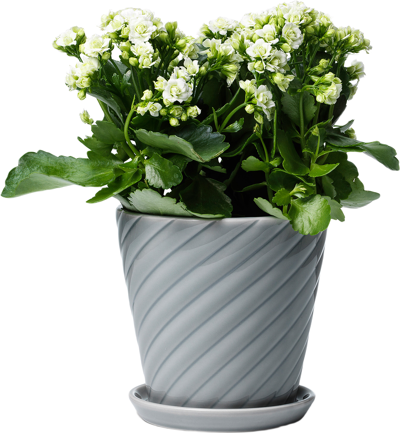 Sigrid Blomkruka Och Fat, från In Flore, i färgen Grå.