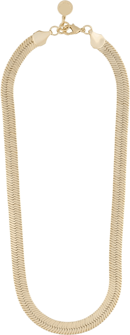 Bella Chain Necklace 45