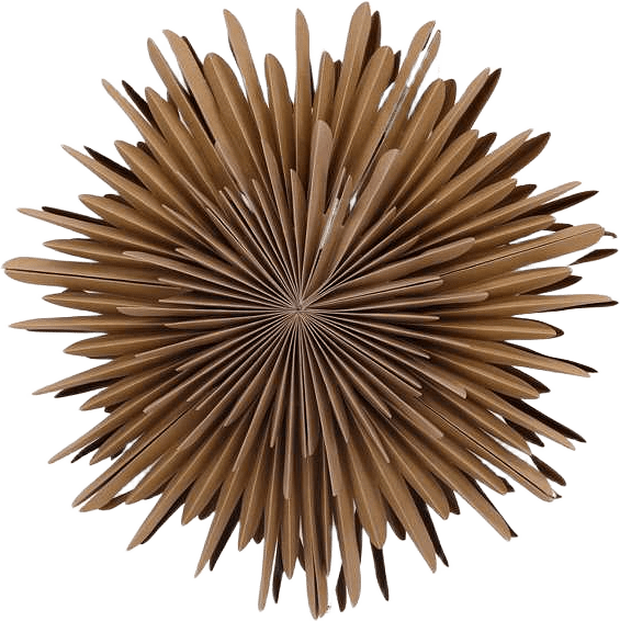 Sälen Adventsstjärna, från Venture Home, i färgen brown.